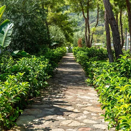 Z-Villas Beach Hotel-2